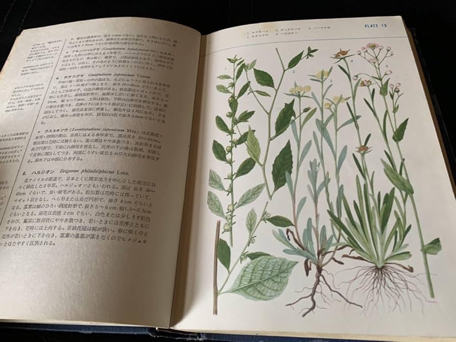 標準原色図鑑全集/第9巻大井次三郎保育社